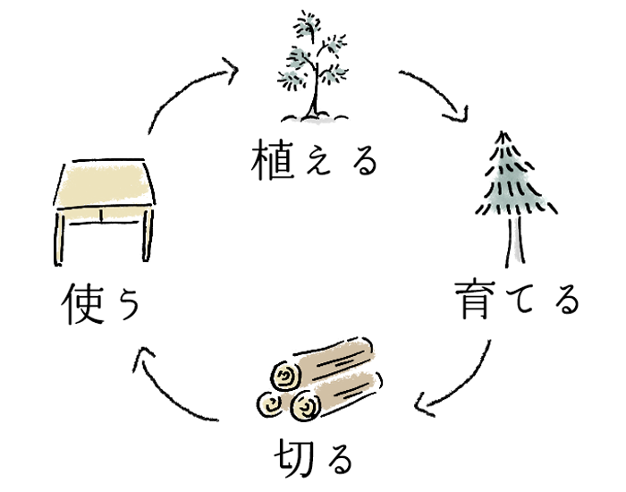 森の再生サイクル