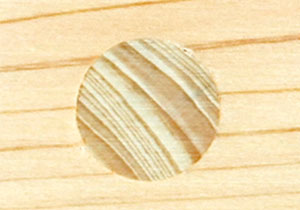 木埋めイメージ