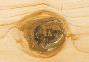 樹脂加工イメージ