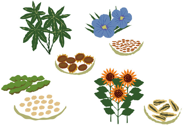 大豆やヒマワリ、亜麻、ヒマの種などから