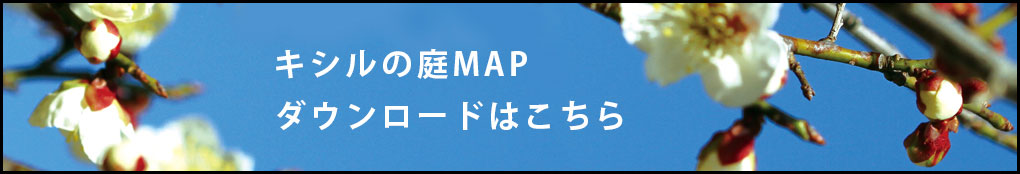 キシルの庭マップダウンロードはこちら