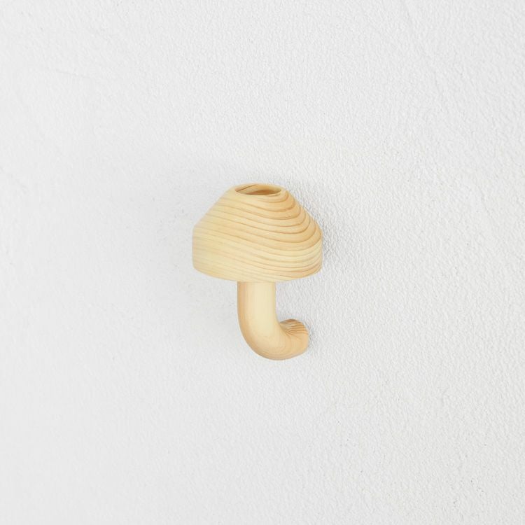 kinoco kasa