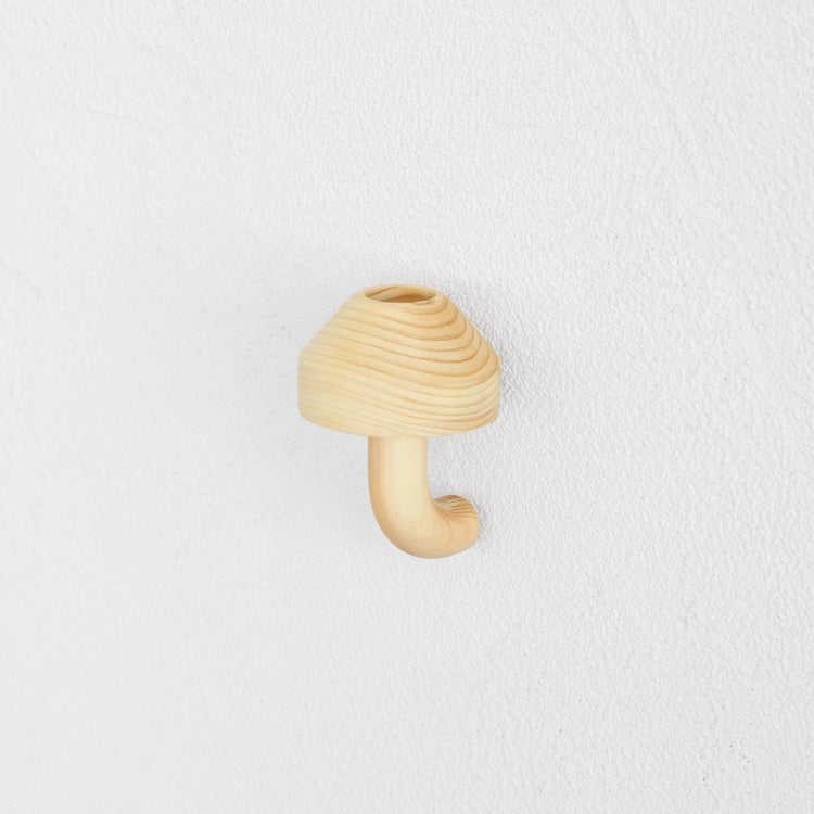 【OUTLET 10%OFF】kinoco kasa